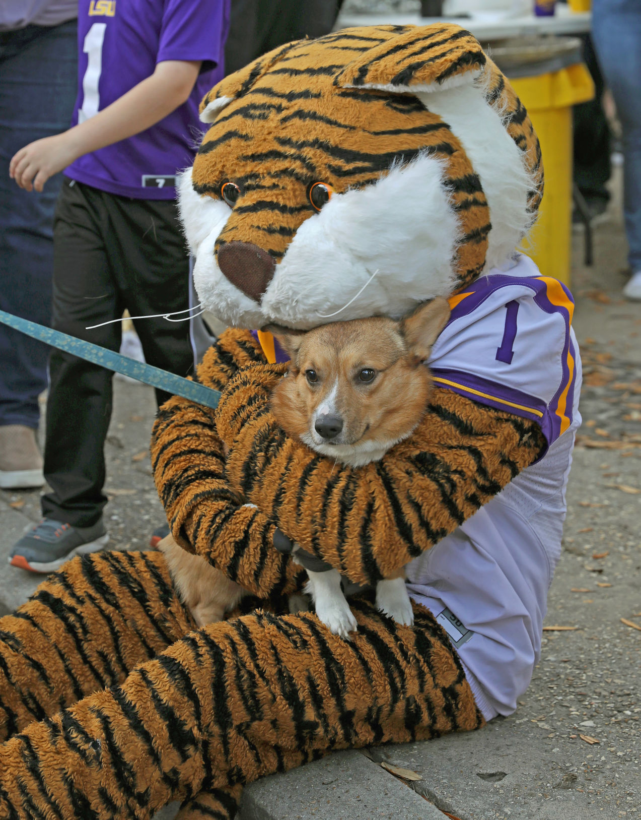 BR.lsutexasammain.120119._002_mw.JPG